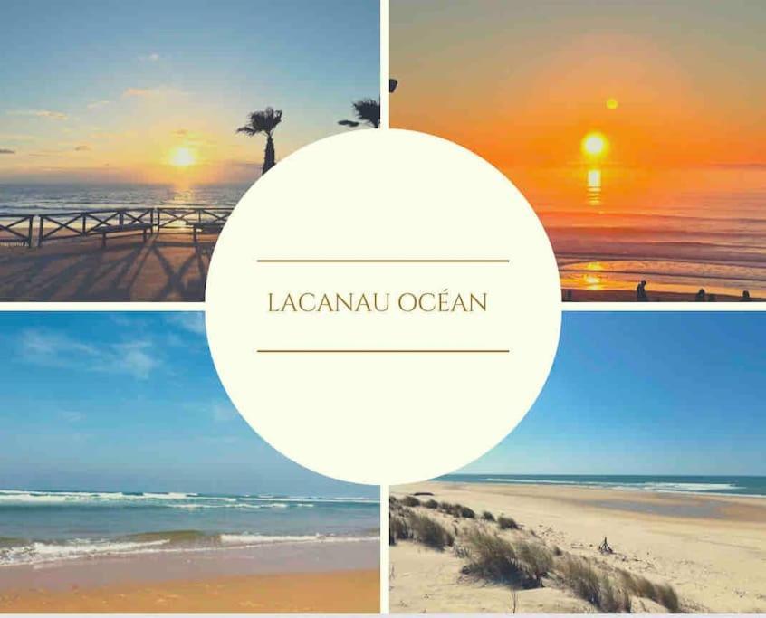 Cosy Studio Avec Vue Sur L'Ocean Lacanau Kültér fotó